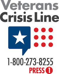 veterans mental health services